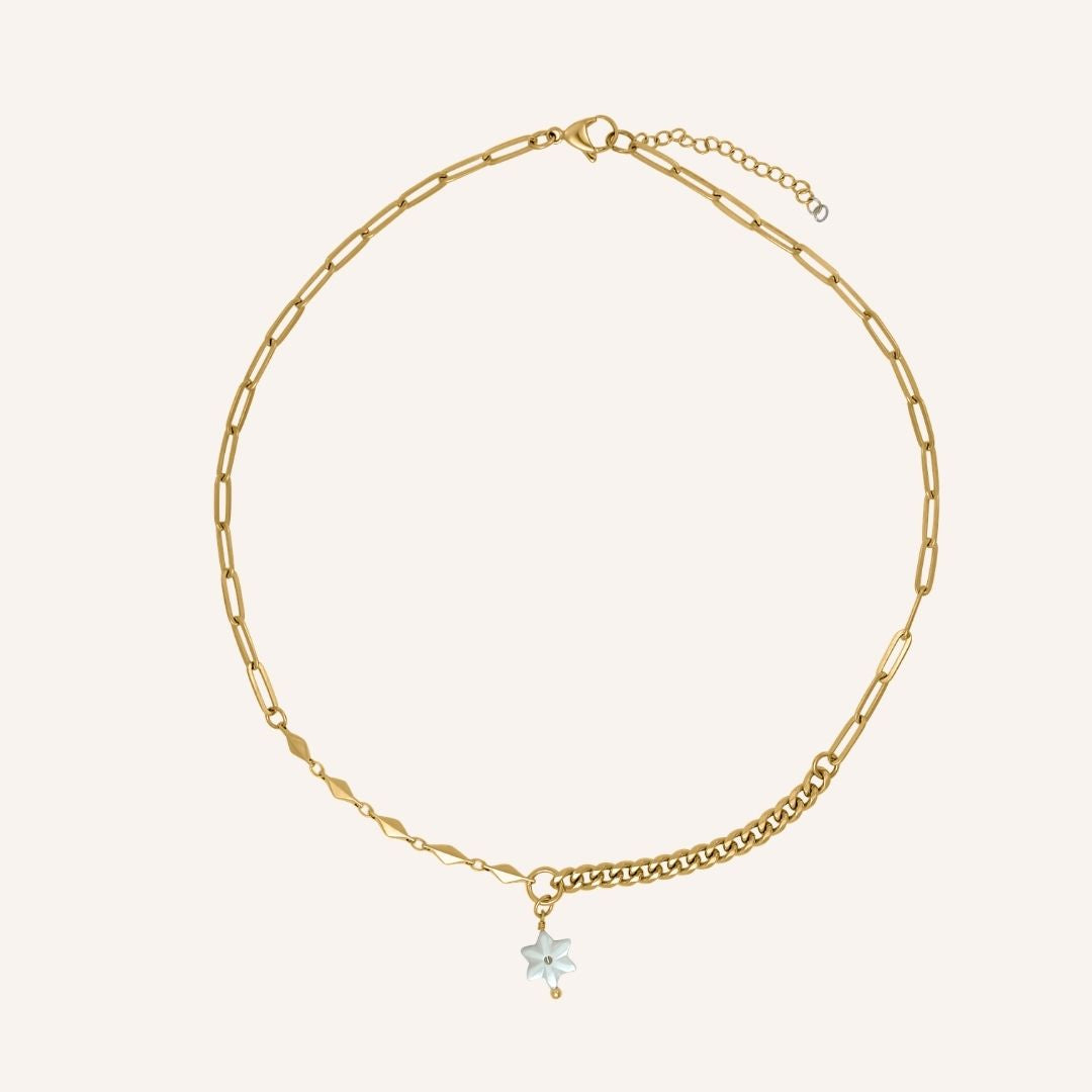Eerin Hybrid Chain Star Shell Necklace - Gold - BLFX